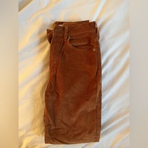 Everlane Brown Corduroy Pants